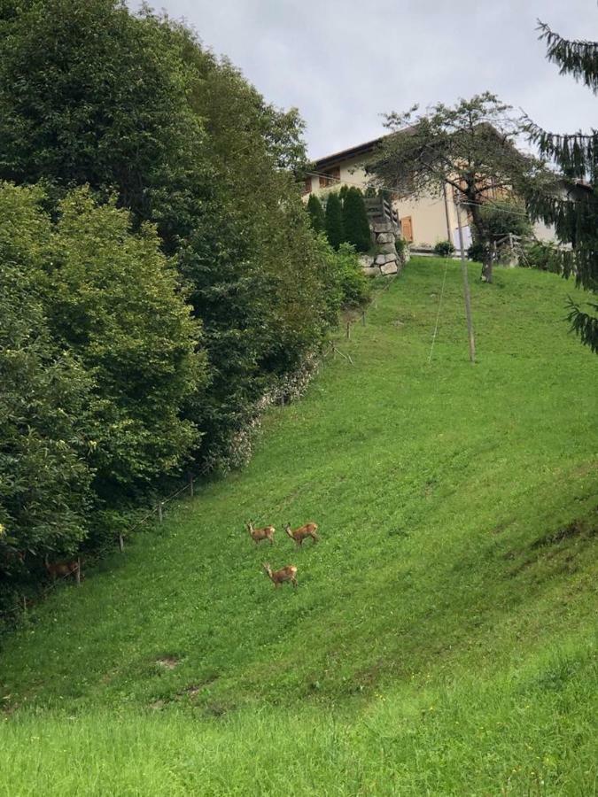 Casa Di Ronchi Villa Torcegno Luaran gambar